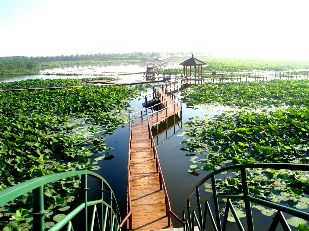 abuiabacgaaguikpuwuoovdlhgqwgag4gay